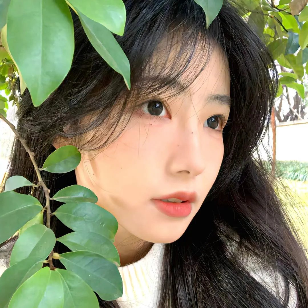 爱·真·承
