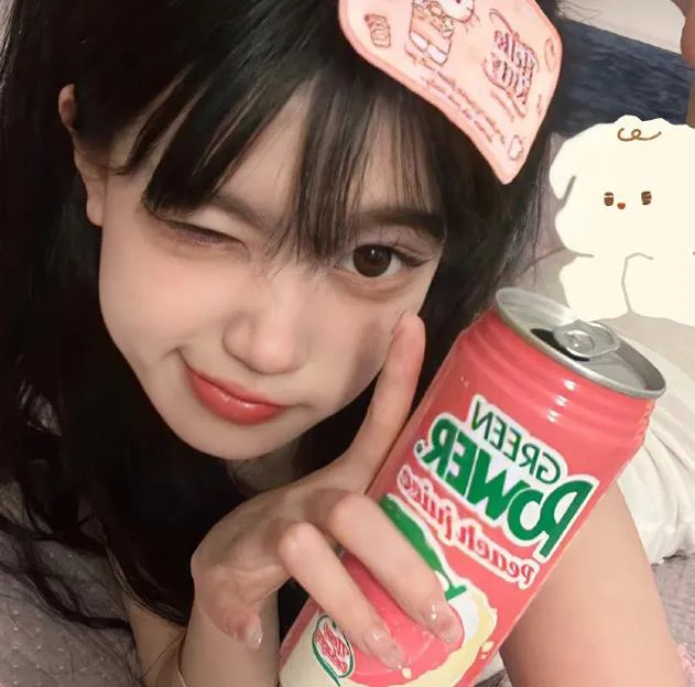 刘少奇的四十四天